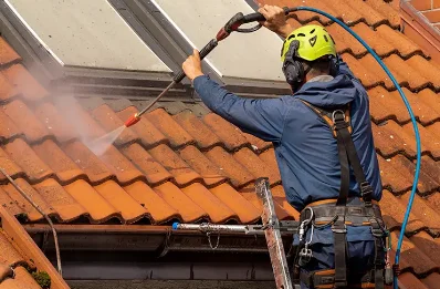 Démoussage et hydrofuge de toiture à Vérissey